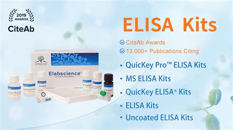 antibodies-online pkce elisa kit|Immunoassay Kits from Elabscience.